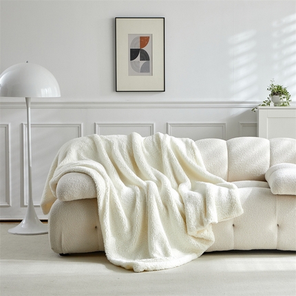 温宁家纺 2025新款双面羊羔绒毯子 双面羊羔绒毯子-白色