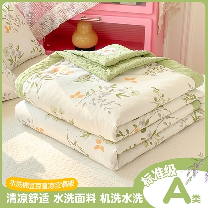 恒畅 2025新款A类水洗棉印花豆豆被抗菌夏被夏凉被空调被 铃梦芊芊