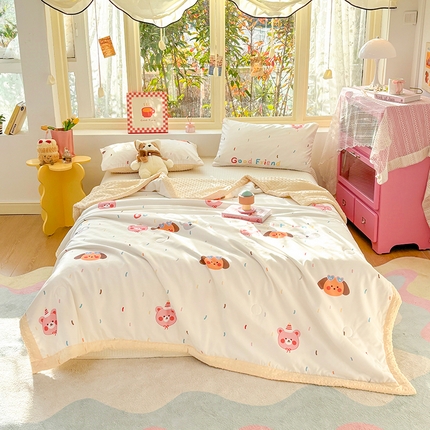 恒畅 2025新款A类水洗棉印花豆豆被抗菌夏被夏凉被空调被 寻梦环游