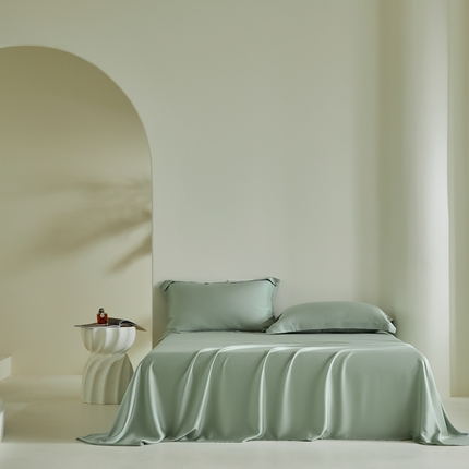 2025新款60S100支兰精天丝单品-单床单 天丝石墨绿