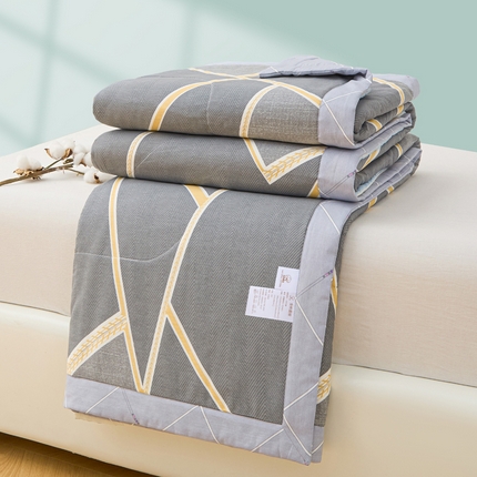 天之爱 2025新款春夏全棉纯棉印花夏被夏凉被空调被被子被芯 时尚拼图