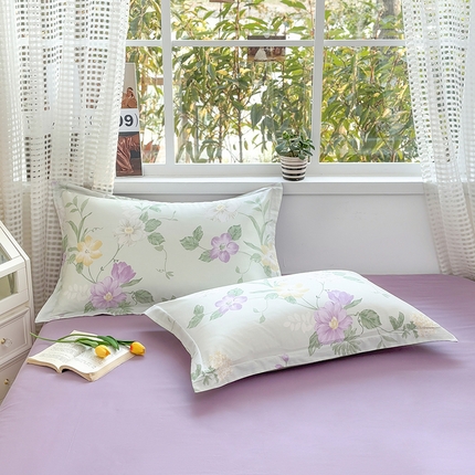 91家纺网 家纺一手货源 找家纺 （总）元元被芯 2025新款40支13372全棉印花全棉枕套