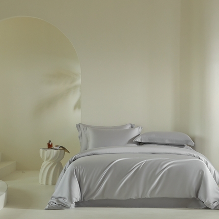 618家纺 2025新款60S100支兰精天丝单品-单被套 天丝银河灰