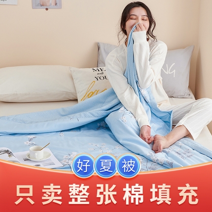 元元被芯 2025新款亲肤舒适磨毛印花夏被被子被芯 丁香草