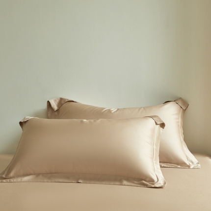 618家纺 2025新款60S100支兰精天丝单品-枕套 天丝香槟金