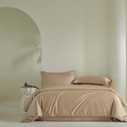 618家纺 2025新款60S100支兰精天丝单品-单被套 天丝香槟金