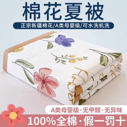 鑫棉坊 【又降价啦】2025新款全棉A类印花纯棉花夏被可机洗空调被 雅韵花都