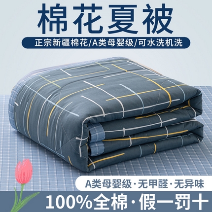 91家纺网 家纺一手货源 找家纺 鑫棉坊 【又降价啦】2025新款全棉A类印花纯棉花夏被可机洗空调被 摩登心情-蓝