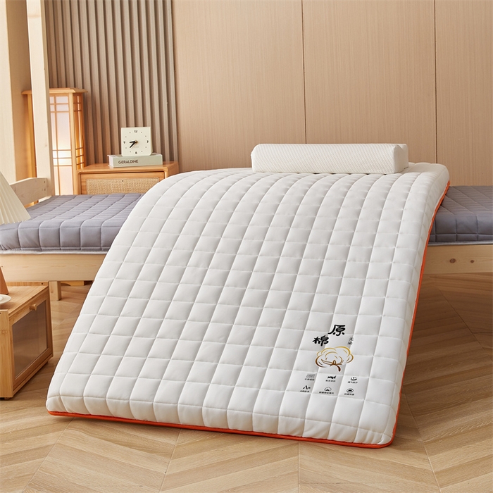 91家纺网 家纺一手货源 找家纺 艺博床垫 2025新款A类原棉棉花床垫--学生款 米白-厚度6cm
