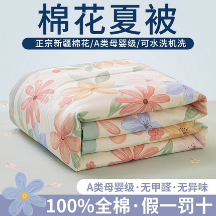 鑫棉坊 【又降价啦】2025新款全棉A类印花纯棉花夏被可机洗空调被 云裳花谷
