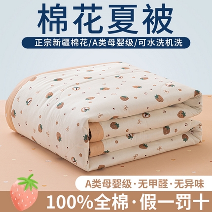 鑫棉坊 【又降价啦】2025新款全棉A类印花纯棉花夏被可机洗空调被 浪漫甜心