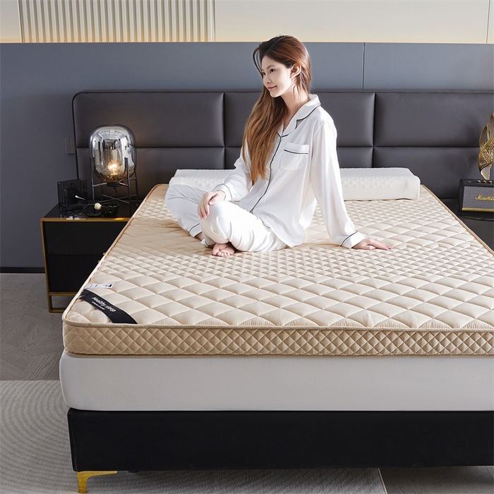 91家纺网 家纺一手货源 找家纺 艺博床垫 2025新款真丝椰棕床垫 金典驼