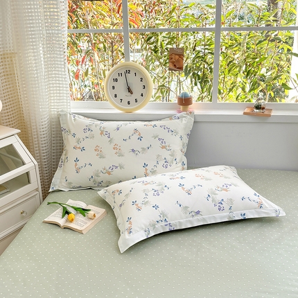 元元被芯 2025新款40支13372全棉印花全棉枕套 硕果