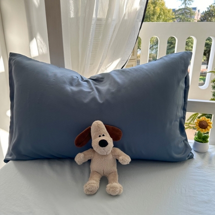 91家纺网 家纺一手货源 找家纺 （总）百寐  2025年春夏纯色水洗真丝单品双拼素色枕芯保护套48*74cm