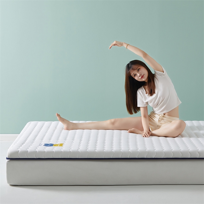 91家纺网 家纺一手货源 找家纺 2025新款A类牛奶丝大豆纤维床垫-小熊 小熊-白色（厚度9cm）