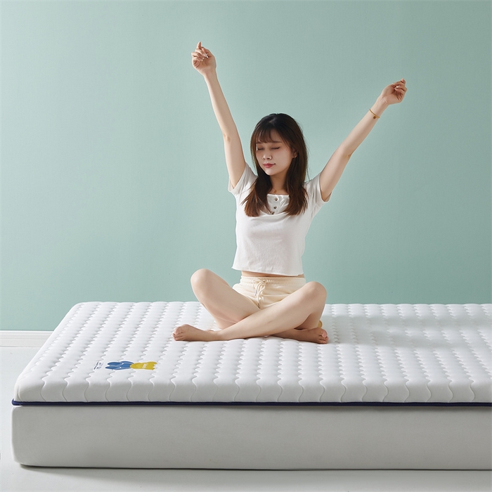 91家纺网 家纺一手货源 找家纺 2025新款A类牛奶丝大豆纤维床垫-小熊 小熊-白色（厚度6cm）