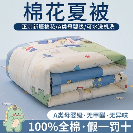 91家纺网 家纺一手货源 找家纺 （总）鑫棉坊 【又降价啦】2025新款全棉A类印花纯棉花夏被可机洗空调被