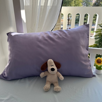 91家纺网 家纺一手货源 找家纺 （总）百寐  2025年春夏纯色水洗真丝单品双拼素色枕芯保护套48*74cm