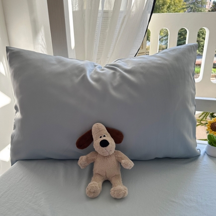 91家纺网 家纺一手货源 找家纺 （总）百寐  2025年春夏纯色水洗真丝单品双拼素色枕芯保护套48*74cm