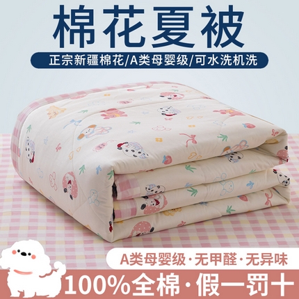 鑫棉坊 【又降价啦】2025新款全棉A类印花纯棉花夏被可机洗空调被 魔法伙伴