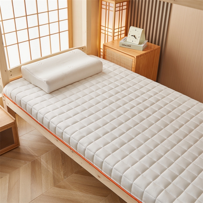 91家纺网 家纺一手货源 找家纺 艺博床垫 2025新款A类原棉棉花床垫--学生款 米白-厚度9cm