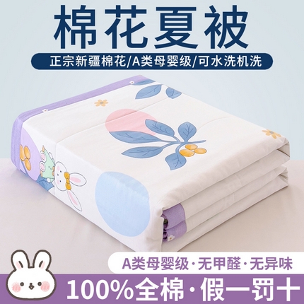 91家纺网 家纺一手货源 找家纺 鑫棉坊 【又降价啦】2025新款全棉A类印花纯棉花夏被可机洗空调被 梦境小晚