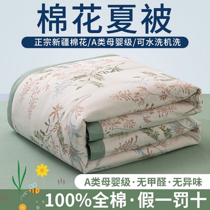 鑫棉坊 【又降价啦】2025新款全棉A类印花纯棉花夏被可机洗空调被 情梦莎
