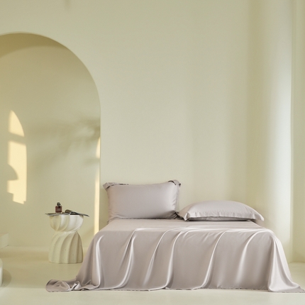 2025新款60S100支兰精天丝单品-单床单 天丝椰子灰