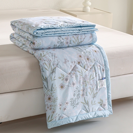 元元被芯 2025新款亲肤舒适磨毛印花夏被被子被芯 流光月色