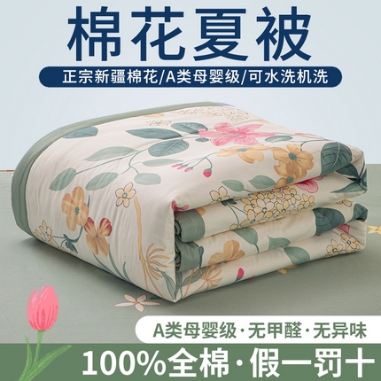 鑫棉坊 【又降价啦】2025新款全棉A类印花纯棉花夏被可机洗空调被 漫歌雅韵