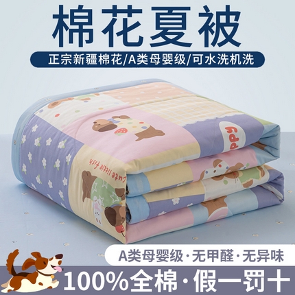 鑫棉坊 【又降价啦】2025新款全棉A类印花纯棉花夏被可机洗空调被 乐享一族