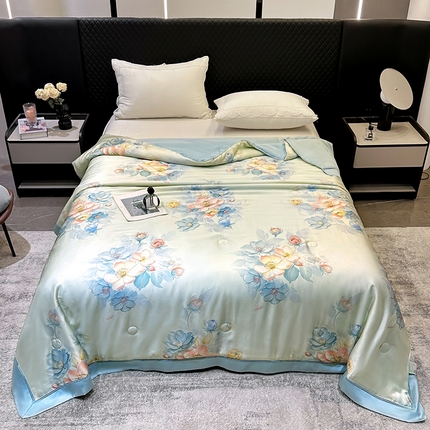 91家纺网 家纺一手货源 找家纺 心悦家纺  2025新款60S奥地利兰精天丝夏凉被空调被被芯 繁华-胧月
