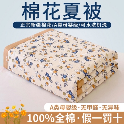 91家纺网 家纺一手货源 找家纺 （总）鑫棉坊 【又降价啦】2025新款全棉A类印花纯棉花夏被可机洗空调被
