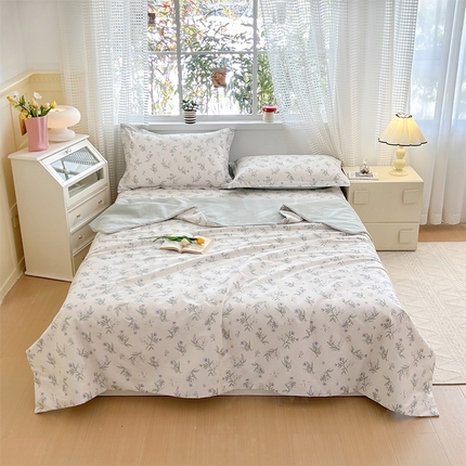 元元被芯 2025新款40支13372全棉印花夏被四件套 宁静