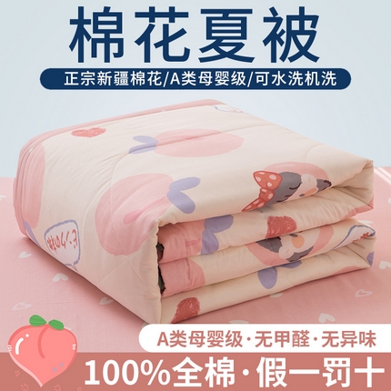 91家纺网 家纺一手货源 找家纺 （总）鑫棉坊 【又降价啦】2025新款全棉A类印花纯棉花夏被可机洗空调被