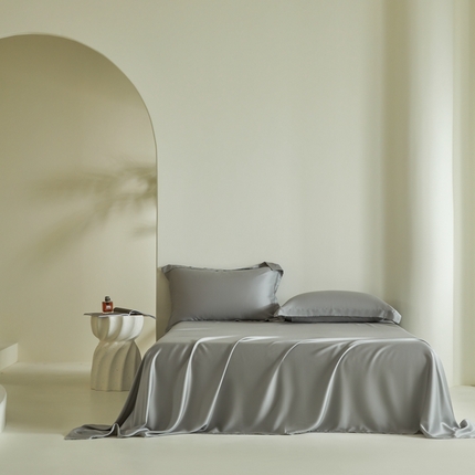 2025新款60S100支兰精天丝单品-单床单 天丝雅士灰