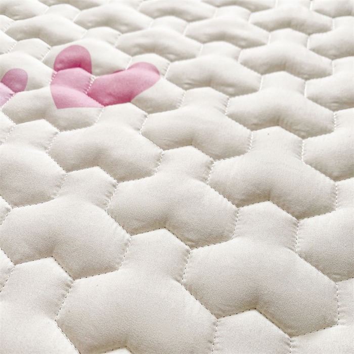 91家纺网 家纺一手货源 找家纺 迪梦思家纺 2025新款A类正版授权卡通印花水洗棉夹棉学生床护垫 比露比