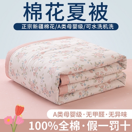 91家纺网 家纺一手货源 找家纺 （总）鑫棉坊 【又降价啦】2025新款全棉A类印花纯棉花夏被可机洗空调被