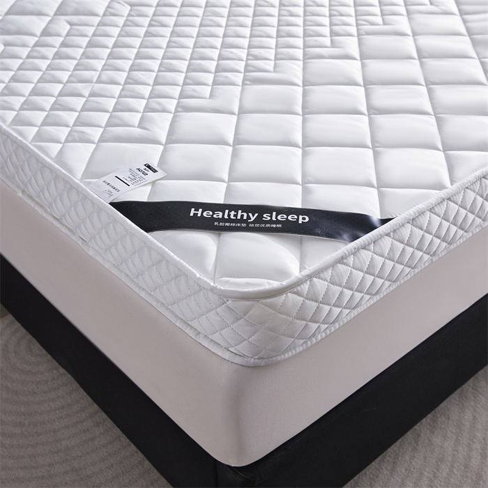 91家纺网 家纺一手货源 找家纺 艺博床垫 2025新款真丝椰棕床垫 月光白