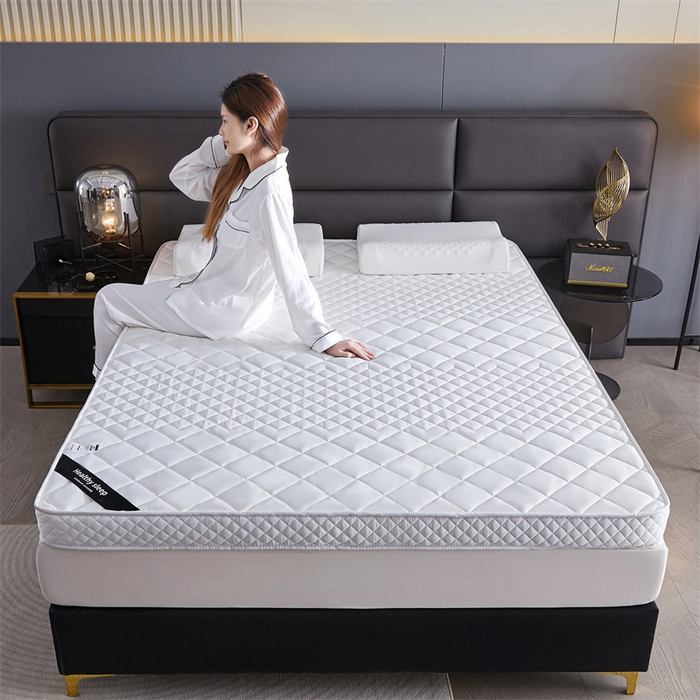 91家纺网 家纺一手货源 找家纺 艺博床垫 2025新款真丝椰棕床垫 月光白