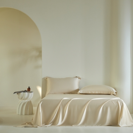 2025新款60S100支兰精天丝单品-单床单 天丝奶米杏