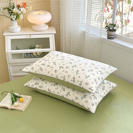 元元被芯 2025新款40支13372全棉印花全棉隐藏式夹棉枕套 绿意