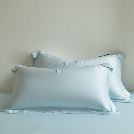 618家纺 2025新款60S100支兰精天丝单品-枕套 天丝夏莎兰