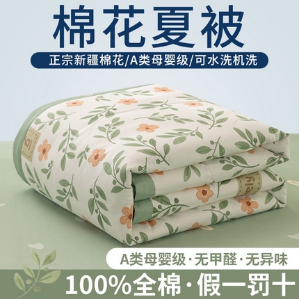 鑫棉坊 【又降价啦】2025新款全棉A类印花纯棉花夏被可机洗空调被 青柠薄荷