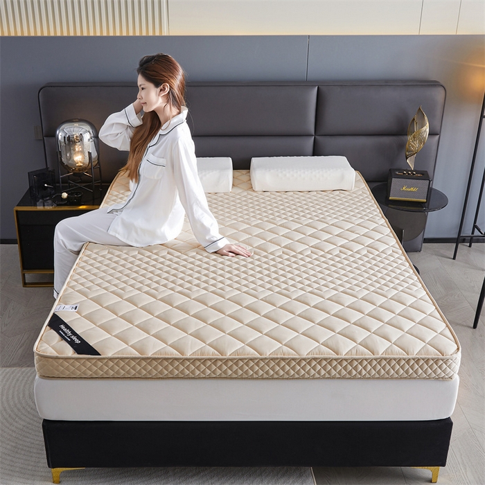 91家纺网 家纺一手货源 找家纺 艺博床垫 2025新款真丝椰棕床垫 金典驼