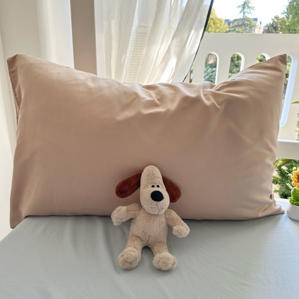 91家纺网 家纺一手货源 找家纺 （总）百寐  2025年春夏纯色水洗真丝单品双拼素色枕芯保护套48*74cm