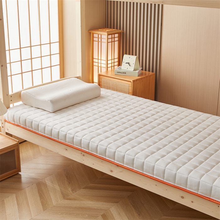 91家纺网 家纺一手货源 找家纺 艺博床垫 2025新款A类原棉棉花床垫--学生款 米白-厚度9cm