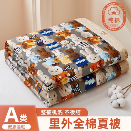 91家纺网 家纺一手货源 找家纺 （总）黛妮雅2025新款里外全棉印花棉花被纯棉单件夏被夏凉被空调被夏被四件套