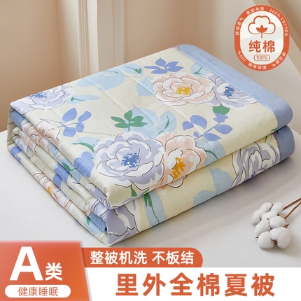 91家纺网 家纺一手货源 找家纺 （总）黛妮雅2025新款里外全棉印花棉花被纯棉单件夏被夏凉被空调被夏被四件套