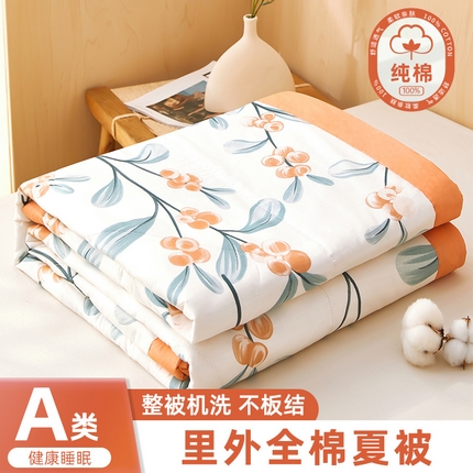 91家纺网 家纺一手货源 找家纺 （总）黛妮雅2025新款里外全棉印花棉花被纯棉单件夏被夏凉被空调被夏被四件套